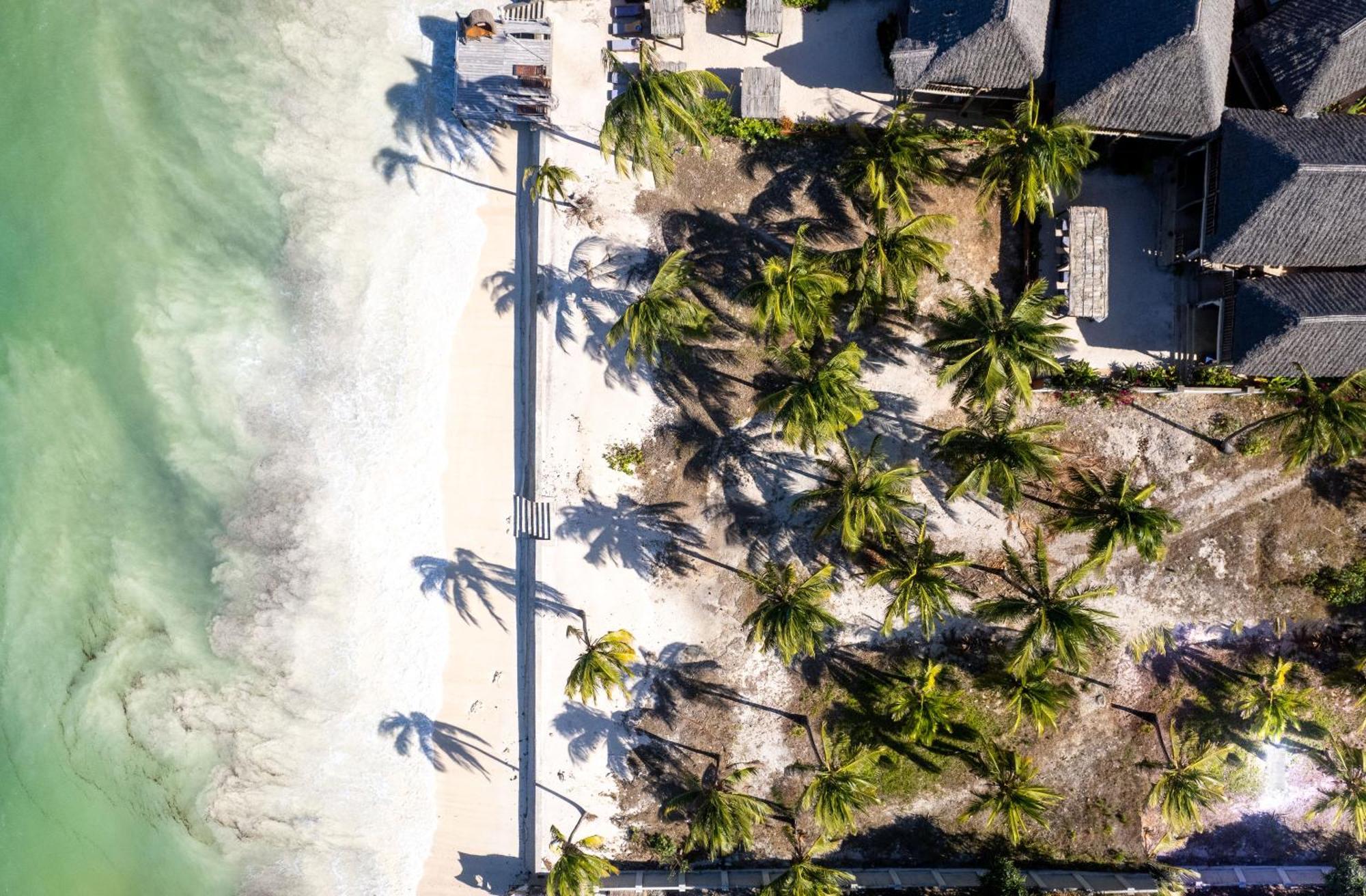 Shanuo Beach Bungalows Michamvi Exterior foto