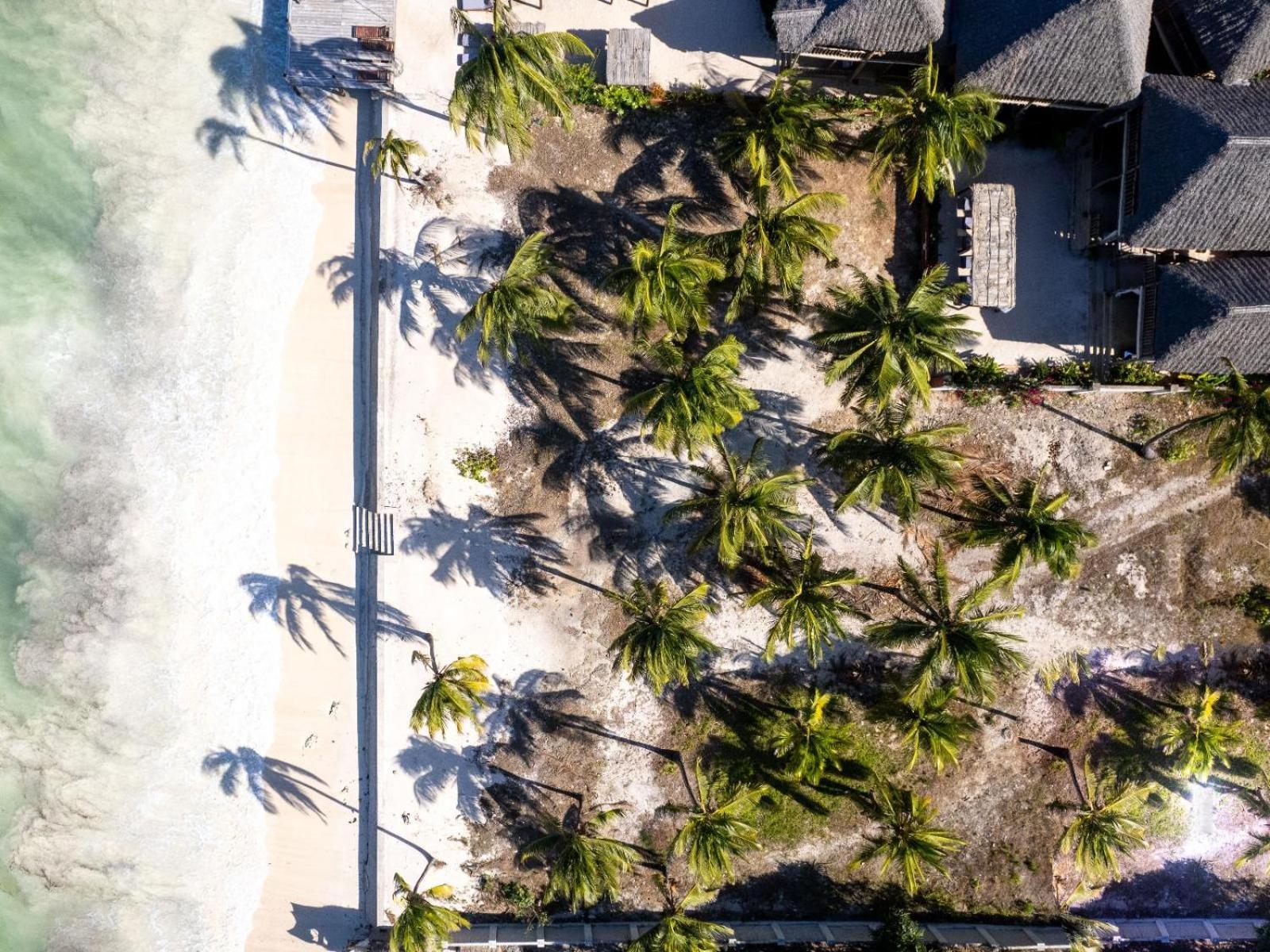 Shanuo Beach Bungalows Michamvi Exterior foto